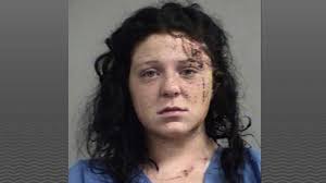 Driver charged after hitting cable barriers injuring herself and 6 others