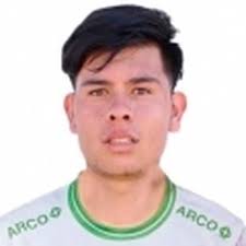 Profile Alan Palomino, : Info, news, matches and statistics