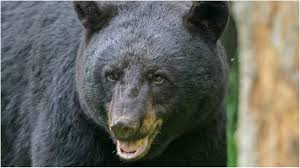 Lexalacie onlyfans she is passionate