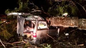 11 фраз в 3 тематиках. Juw2z80 Eghk3m