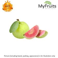 Over the time it has been ranked as high as 120 899 in the world, while most of its traffic comes from usa, where it reached as high as 1 009 422 position. Myfruits Farm Fresh To Doorstep