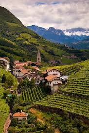 Ritten Vineyards Beautiful Places Places To Travel Places To Go