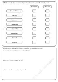 We did not find results for: Shaun Donnelly On Twitter Hope Everyone Is Ok Here S Tomorrow S Distance Learning Activity This Is On Plant Cells I Hope That Doesn T Put People Off Plants Are Actually Very Interesting Here S The