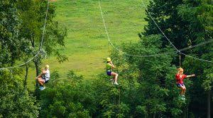 Zip Line Installation Give Them The Best Ride
