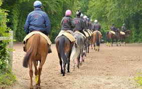 Jockey gloves jockey goggles jockey health care jockey leggings jockey mud suits jockey pants jockey shirts jockey silks jockey stirrups irons jockey tack bag jockey webbings jockey whips media (dvd) race saddle pads racing girths riding chaps rubber bands stopwatch whip accessories How France Developed A Golden Generation Of Jockeys Topics Yves Saint Martin Jockeys Olivier Peslier France Afasec Thoroughbred Racing Commentary