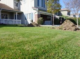 Your garden home grass stock images are ready. Go From Lawn To Garden Stopwaste Home Work School