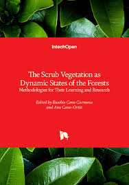 Image result for Pseudoeriosema borianii