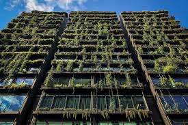 One central park is the landmark first residential stage of the $2 billion central park precinct in downtown sydney. One Central Park Abc News Australian Broadcasting Corporation