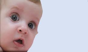 Chautauqua County Community Source 3/17/23 by Community Source