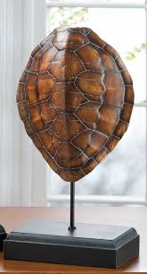 Zingz Thingz Decorative Turtle Shell Turtle Shell Shell Decor Shells