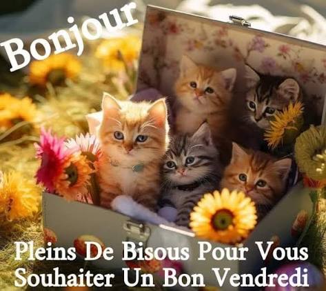 Bonjour bonne journée de vendredi bisous amitiés