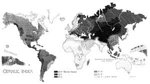 cephalic index wikiwand