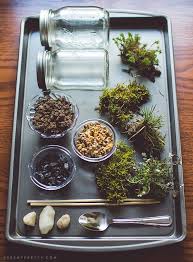 Diy Moss Terrarium Craft Diy Moss Terrarium Beautiful Terrariums Terrarium Diy