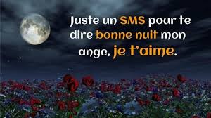 Bonjour mon amie que j'aime. Bonne Nuit Messages Textes Romantiques Poesie D Amour