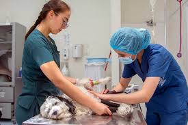 Debora Cobo Naundorf