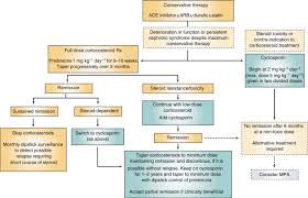 Cyclosporin In Idiopathic Glomerular Disease Associated With The Nephrotic Syndrome Workshop Recommendations Sciencedirect