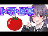 野々宮めら