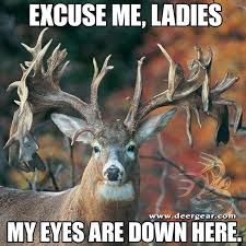 Pin By Victoria Sanchez On Deer Deer Hunting Humor Funny Hunting Pics Funny Deer