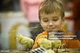 55 Marie Hatch Stock Photos, High-Res Pictures, and Images