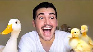 Mi Pato Patricio conoce a sus bebés por primera vez