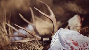 Maybe you would like to learn more about one of these? Building The Ultimate Hunting Kill Kit Gohunt