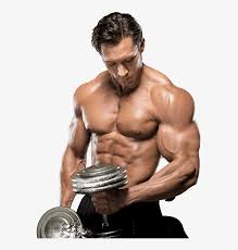 Download high quality royalty free fitness clip art from our collection of 42,000,000 royalty free clip art graphics. Body Fitness Png Image Royalty Free Stock Bodybuilding Transparent Png 661x856 Free Download On Nicepng