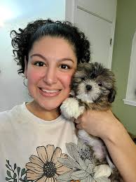 Hi everyone, this Is Mauee 🥰 she's a purebred Shih Tzu