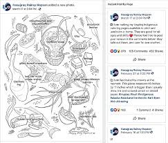 Color over 4,543+ pictures online or print pages to color and color by hand. Resources For Parents And Educators With Students At Home Association Of Alaska School Boards