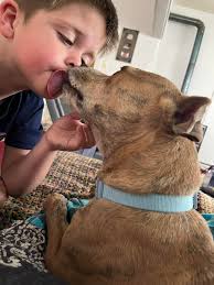 We found this guy in the Nations. Please text 870-215-2211 if he's yours.