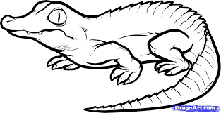 pin by tenille on drawing references animal coloring pages colorful drawings coloriage dinosaure mignon youtube
