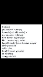 Gozlerin Yuku Agir Iki Kirlangic Sureyya Berfe Siir Gercekler Keder