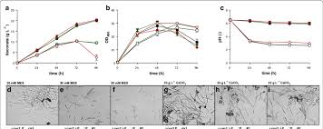 Check spelling or type a new query. Itaconate Production And Growth Of Engineered U Maydis Strains Download Scientific Diagram