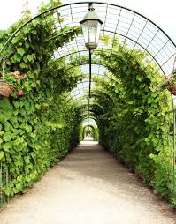 Check out our metal plant support selection for the very best in unique or custom, handmade pieces from our outdoor & gardening shops. Vine Arbor Tunnel Wall Mural Pixers We Live To Change Green House Garden Garden Arbor Garden Structures