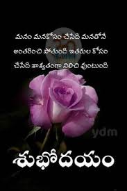 Good morning flowers quotes in telugu. 100 Goodmorning Ideas Good Morning Good Morning Images Morning Images