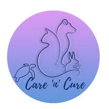We also pledge that the same care and comfort they get from you at home will be given to our patients and pet resort. Best Pets Clinic Near M P Nagar Veterinary Animal Hospital Near Me Vet Clinics Near Me Animal Clinic Animal Clinic Near Me