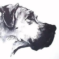 On Paper Great Dane Chalk Charcoal Ian Mason Charcoal Drawing Animals Animal Drawings Charcoal Art