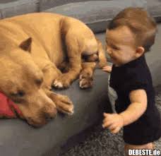 Gute nacht bilder lustig gif kinder gute nacht geschichte animierte gif bilder und gute nacht grüsse gif bilder 113 stück animierte bilder kostenlose gute nacht bilder gifs grafiken cliparts gute nacht mein liebling imagez gute nacht gb pics gb bilder gästebuchbilder facebook. 2 Lustige Bilder Kinder Hunde Kinder Hunde Lustig Debeste