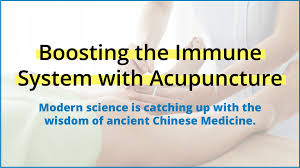 Want To Boost Your Immune System Acupuncture Can Help Acupuncture Technology News