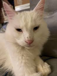 got to see Yeti & Lexi today!