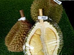 Kebanyakan durian ini sudah di klon dan terdapat lebih dari 100 jenis klon durian yang telah didaftarkan dengan jabatan. P089 Jenis Durian Baru Di Malaysia Yang Lebih Enak Dari Musang King Indozone Id