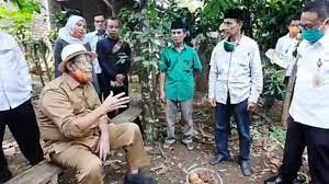 Tanaman ini memiliki batang semu (sebenarnya tangkai daun) yang tegak, berkulit. Porang Miliki Nilai Ekonomi Hasilkan Rp 800 Juta Per Hektar Bagaimana Cara Budidaya Tanaman Porang Tribun Jambi