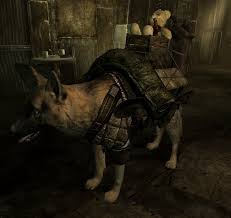 Dogmeat Leather Armor At Fallout3 Nexus Mods And Community Leather Armor Fallout 3 Armor Welcome back to my mod spotlight series for fallout 4. dogmeat leather armor at fallout3 nexus