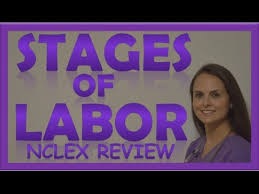 Stages Of Labor Nursing Ob For Nursing Students Stages Of Labour Nclex Explained Video Lecture