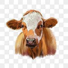 Gambar Kepala Sapi Menyenangkan Satwa Ternak Png Transparan Clipart Dan File Psd Untuk Unduh Gratis Animal Illustration Cartoon Animals Cattle