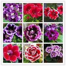 Pin On Flores Aliexpress
