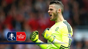 Now stop hating and start loving! David De Gea Special Crystal Palace V Man Utd 2015 16 Emirates Fa Cup Final Fatv Focus Youtube