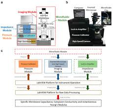 Ne manquez pas l'occasion de visionner l'intégralité de la saison 16 de la série new york unité. Ijms June 2017 Browse Articles