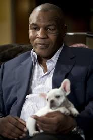 Memorable Movie Tattoos Mike Tyson Celebrity Dogs French Bulldog Funny