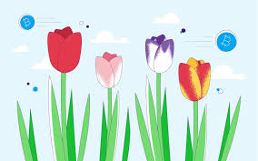 Others are pointing further back, to the dutch tulip mania in. Bitcoin And Its Major Differences With Tulip Mania Paxful Blog