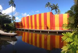 Pest control companies oahu, pest control company oahu, from rodents to termites, pests can be a problem. Aloha Pest Solutions Hawaii Pest Control Termite Treatment Services